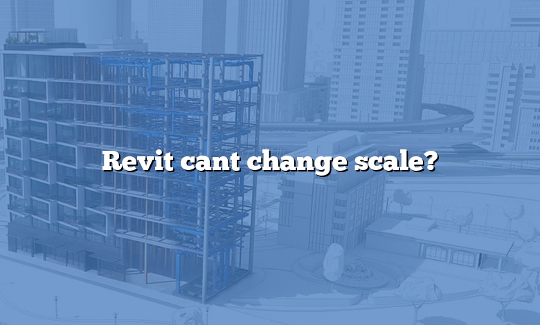 Revit cant change scale?