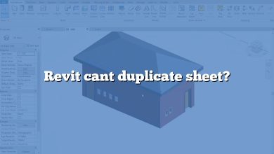 Revit cant duplicate sheet?