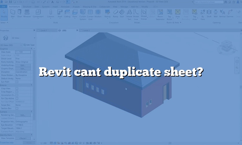 Revit cant duplicate sheet?