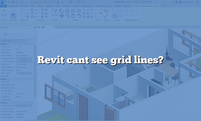 Revit cant see grid lines?