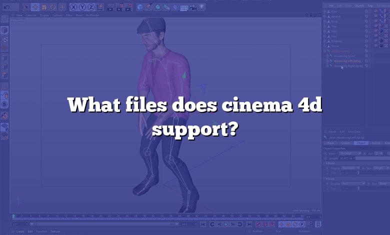 What files does cinema 4d support?