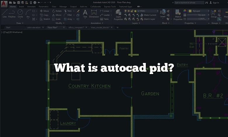 What is autocad pid?