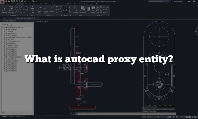 What is autocad proxy entity?