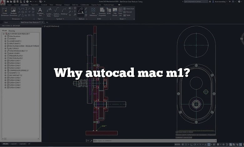 Why autocad mac m1?