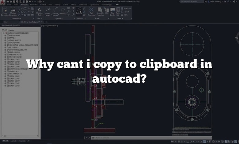 Why cant i copy to clipboard in autocad?