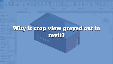Why is crop view greyed out in revit?