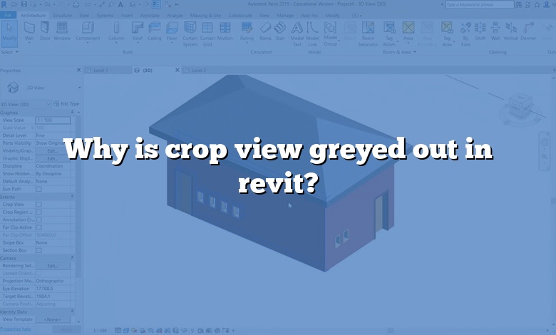 Why is crop view greyed out in revit?