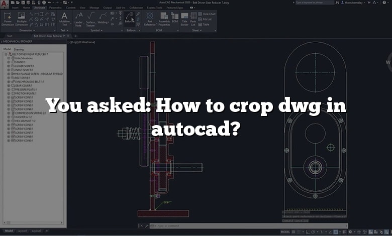 You asked: How to crop dwg in autocad?
