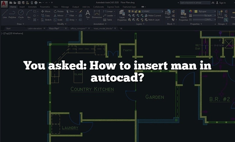 You asked: How to insert man in autocad?
