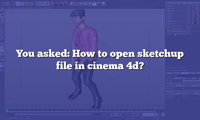 You asked: How to open sketchup file in cinema 4d?