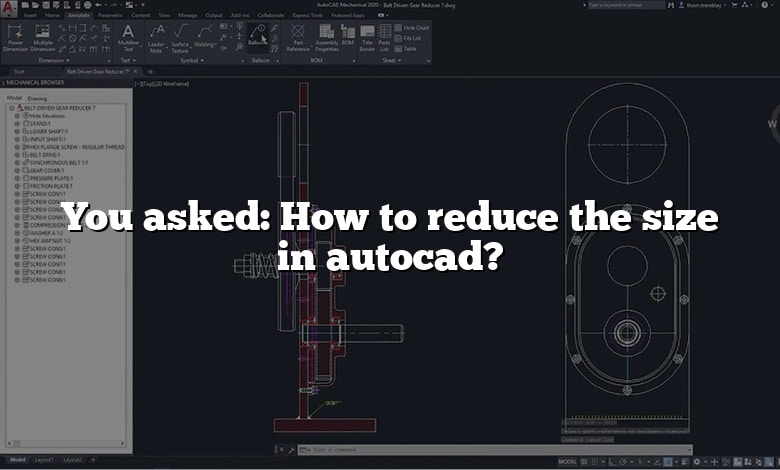 You asked: How to reduce the size in autocad?