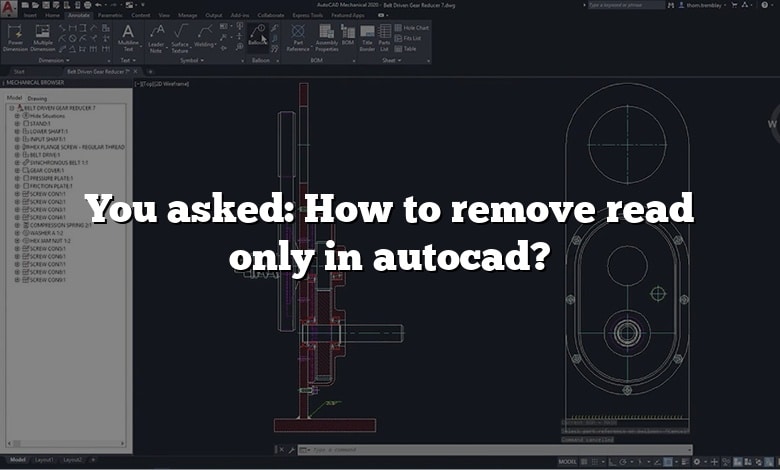 You asked: How to remove read only in autocad?