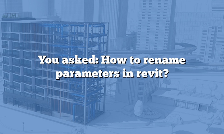You asked: How to rename parameters in revit?