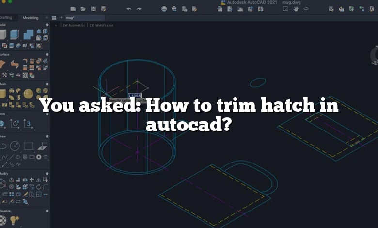 You asked: How to trim hatch in autocad?