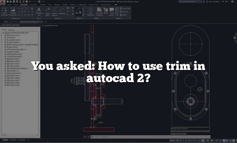 You asked: How to use trim in autocad 2?