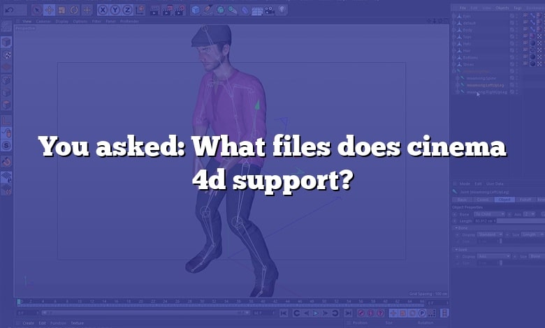 You asked: What files does cinema 4d support?